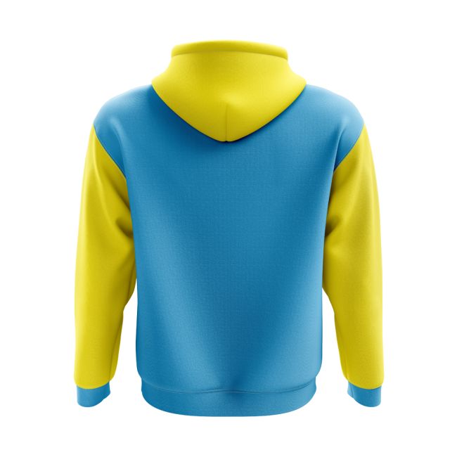 Championship Botswana Concept Country Football Hoody (Sky)