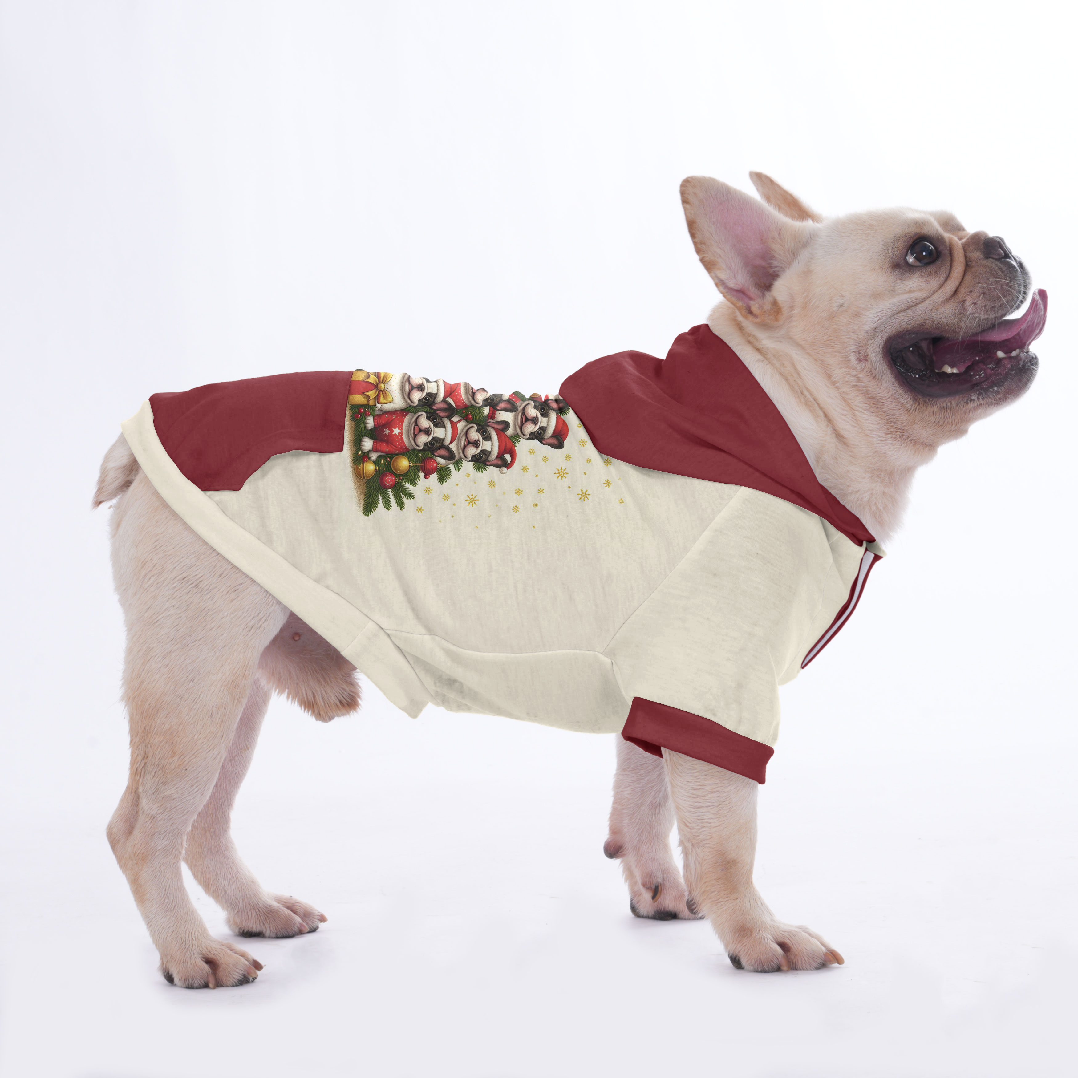 Cozy Sissy - Hoodies For French Bulldog | Frenchie Shop Original for ...