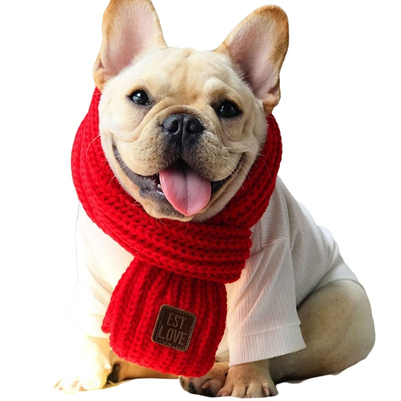 Trendy High-Quality Winter Scarf For French Bulldog for Casual Outings