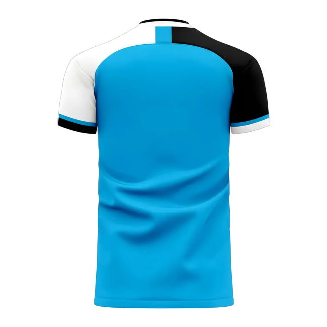 Climate-Control Botswana 2025-2026 Home Concept Football Kit (Libero)