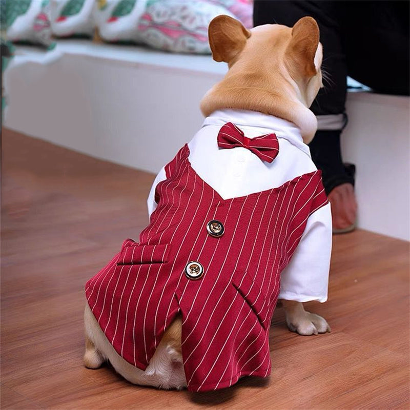 Stylish Bowgan French Bulldog Tuxedo – Formal Dog Wedding Outfit With...