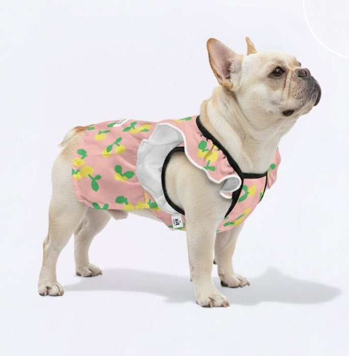 Kaia - French Bulldog Dresses for Females