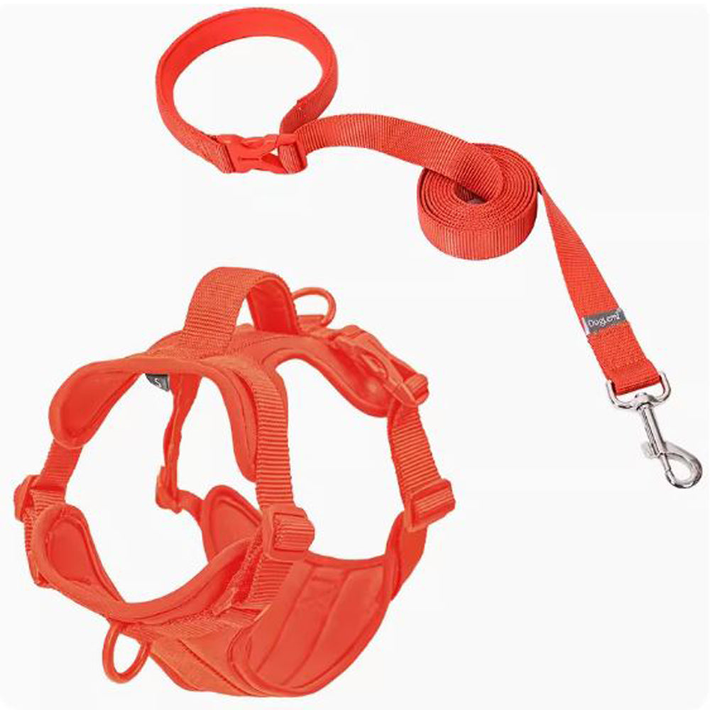 No Pull Frenchie Comfort Leash Vest Walking Harness Indoor Use