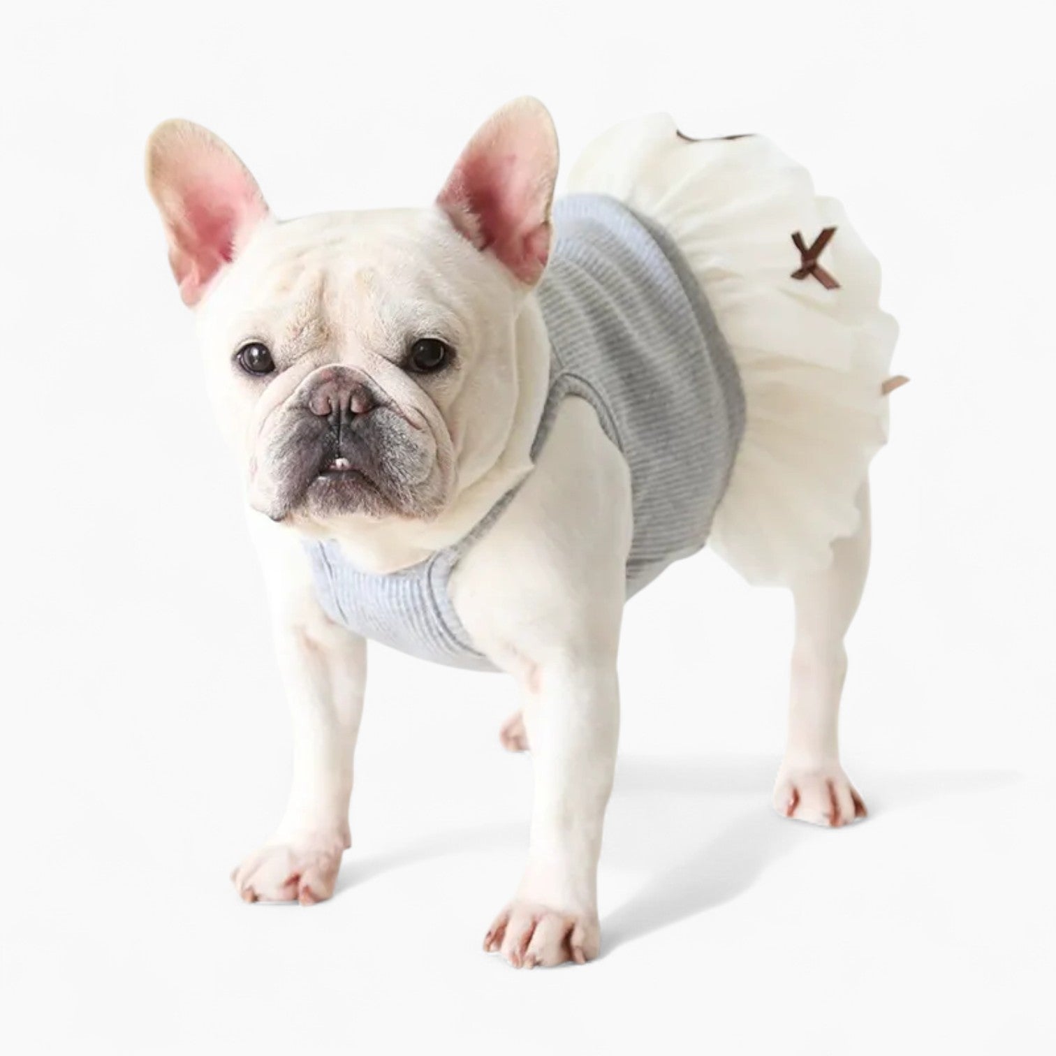 Dress – Soft Elegant Skirt Dog Outfit Indoor Use | Breed-optimized