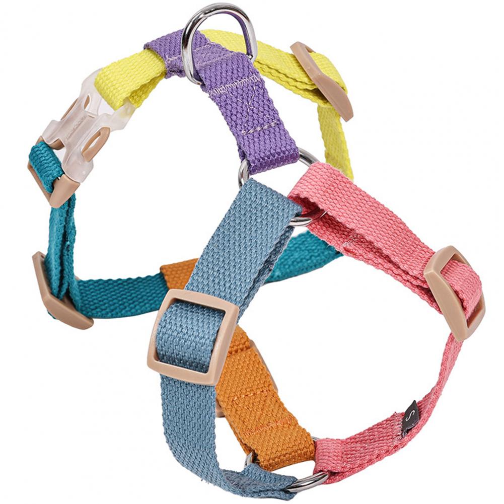 French Bulldog Adjustable Comfort Frenchie Chest Strap Harness For