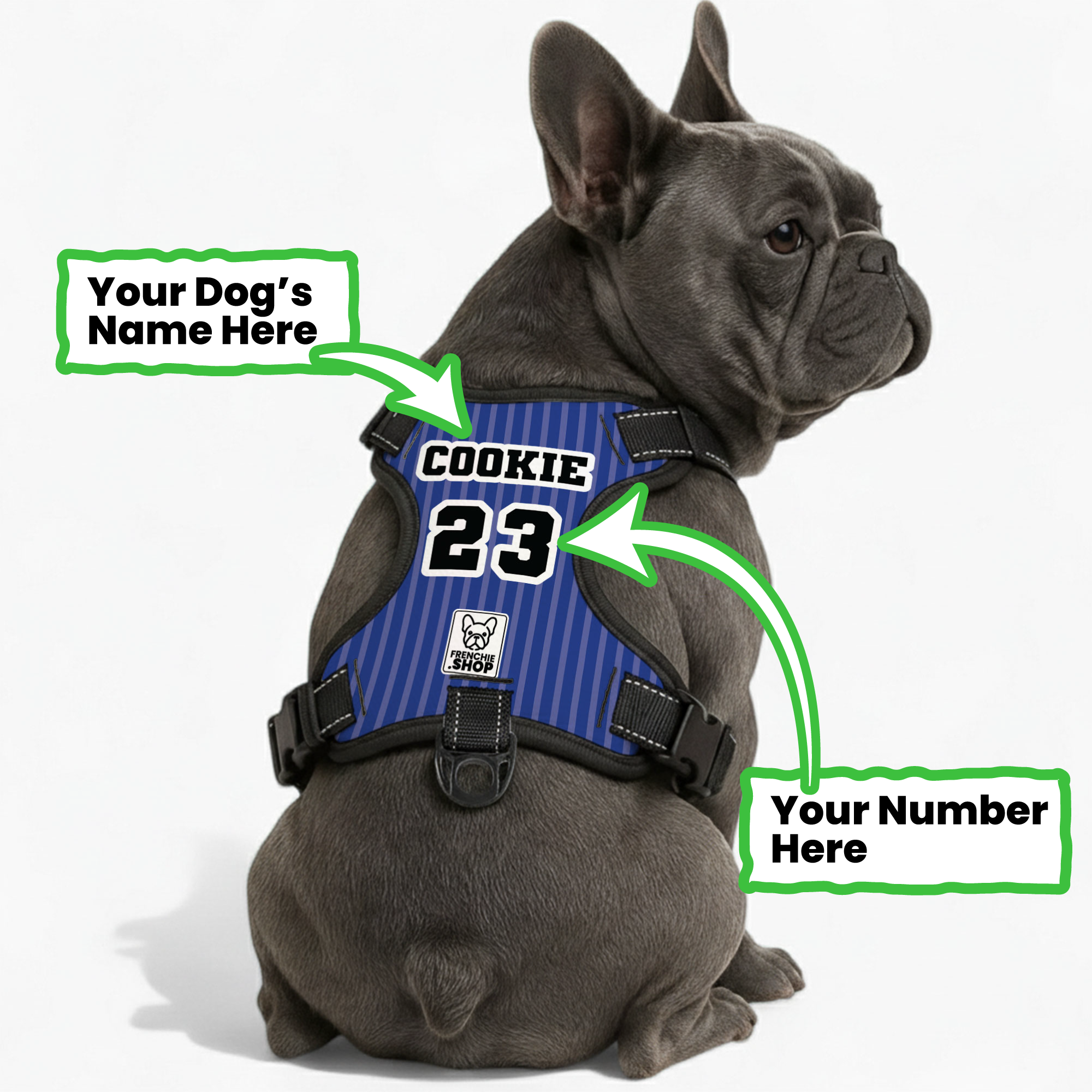 - Premium Personalized No-pull French Bulldog Dog Harness Paw Protection