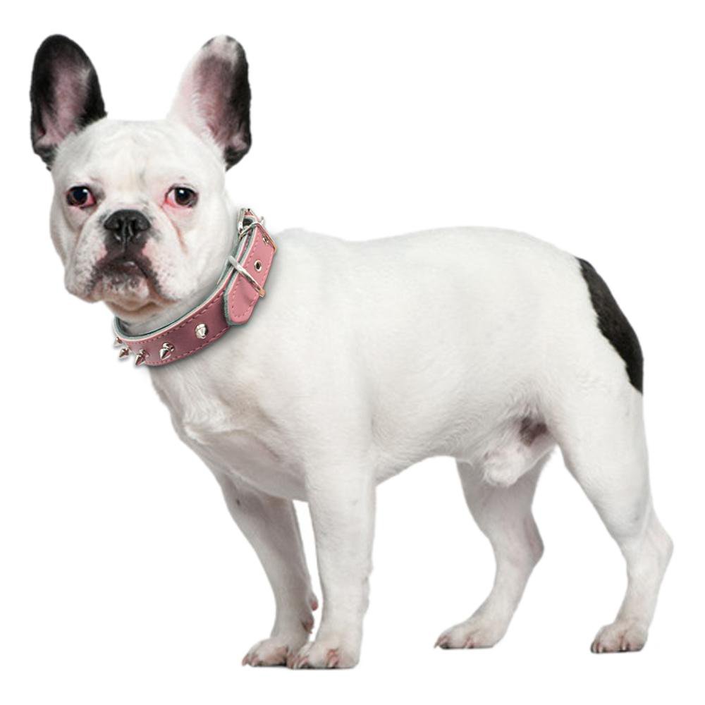 French Bulldog Adjustable Collars (ws61) Durable Dog Accessory