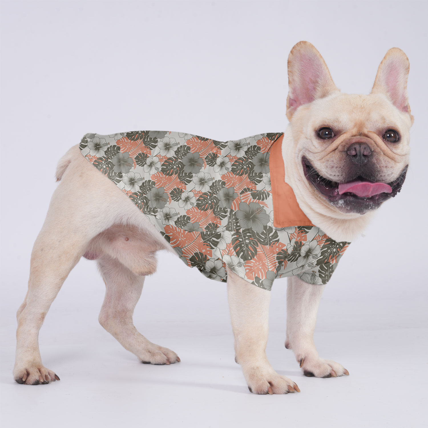 Premium Everyday Millie - Hawaiian Shirt For Frenchies for Daily Life