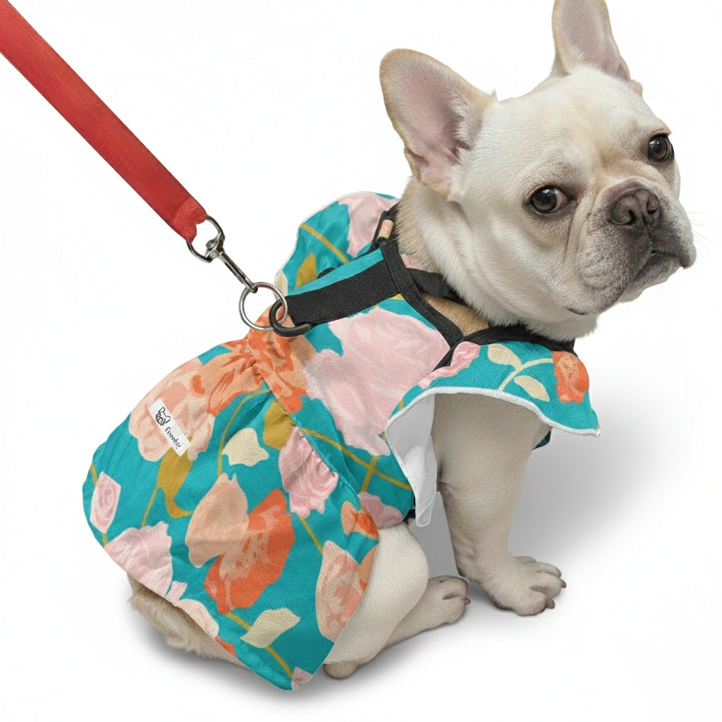 - Bulldog French Bulldog Dresses For Females Winter Wear | Durable Build