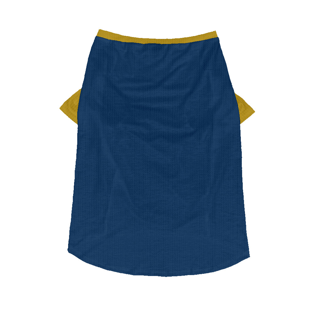 - Stylish Wool Sweater For Frenchies For Frenchie Fans | Durable Build