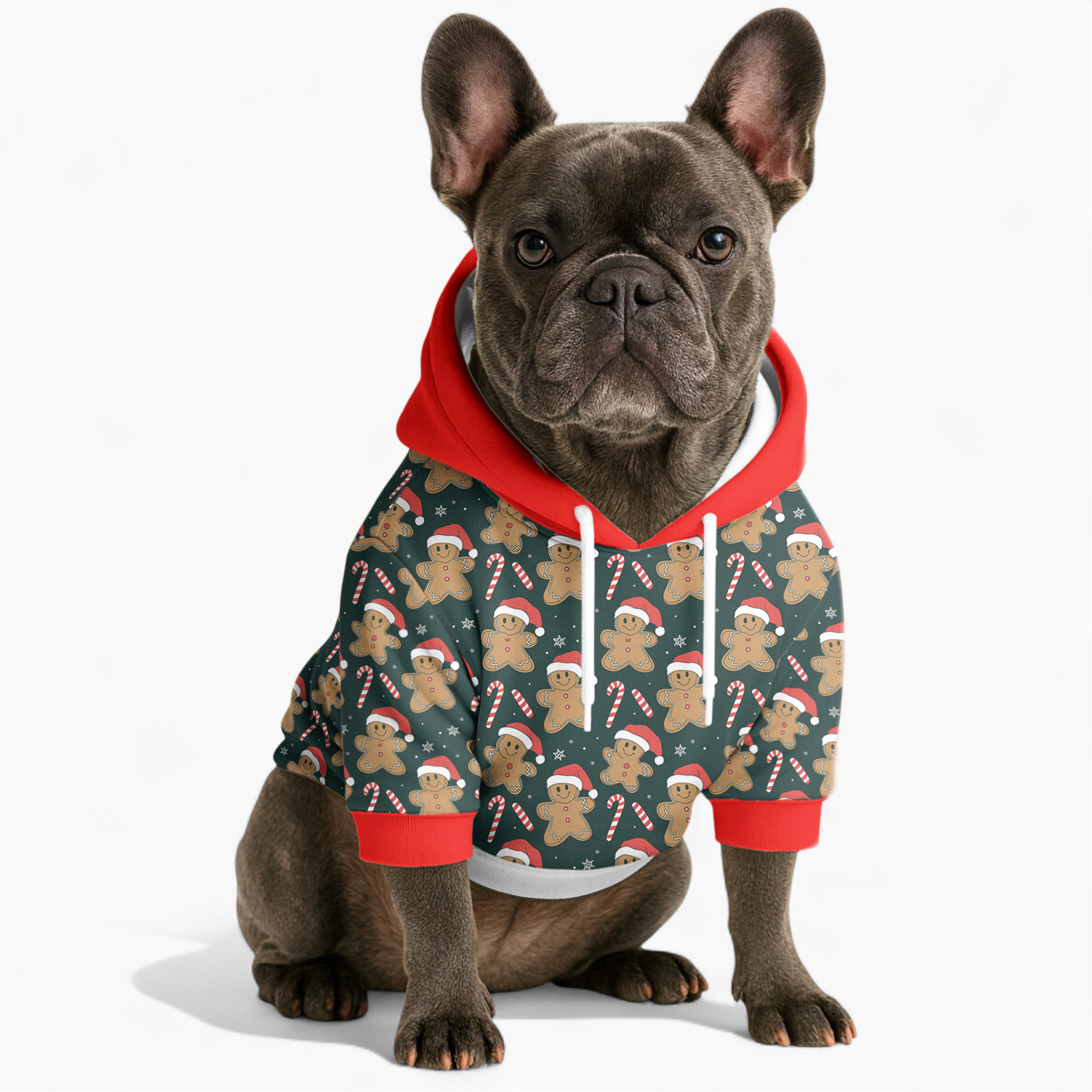 Chandler - Frenchie hoodie