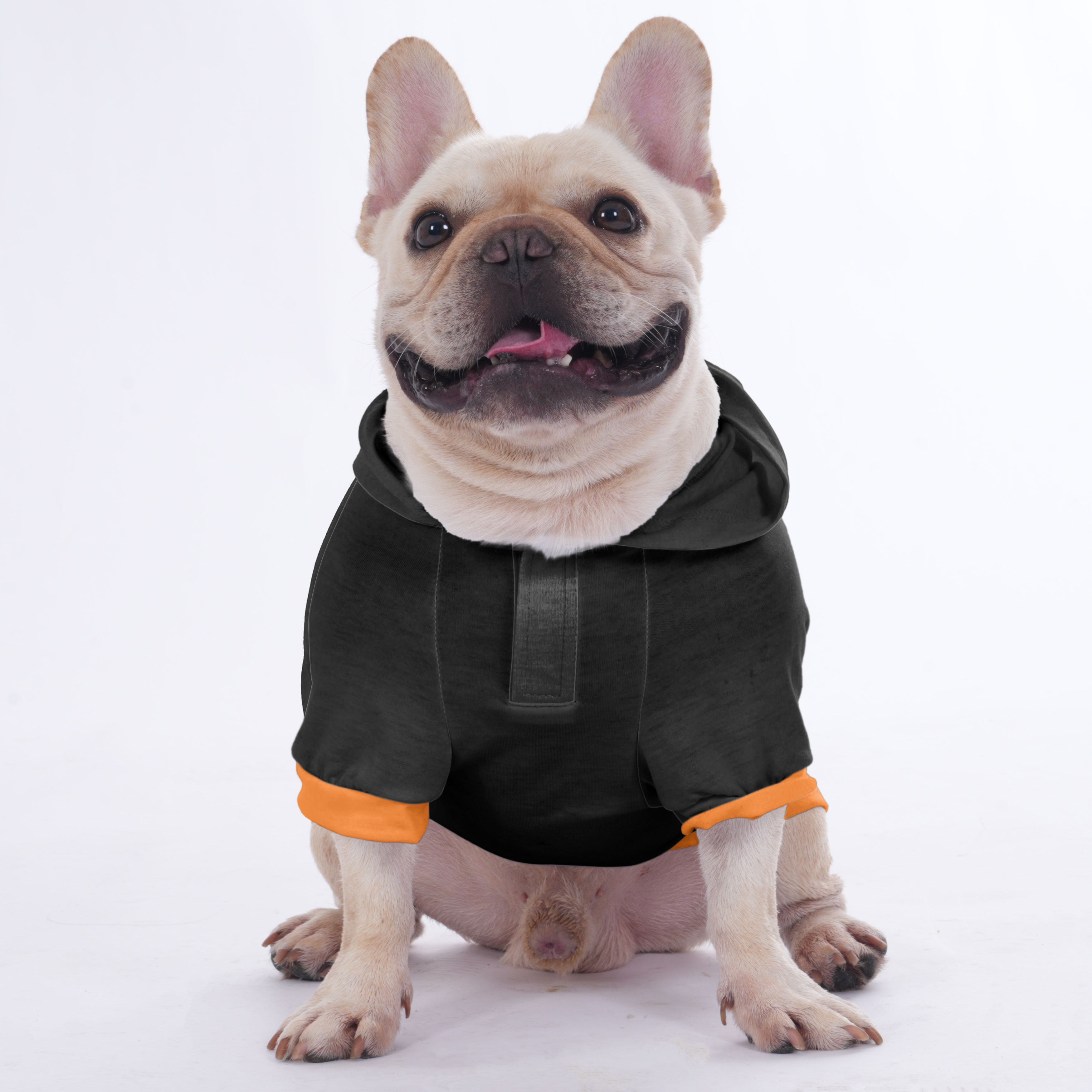 For French Bulldog | Frenchie Shop Original Everyday Use | Durable Build