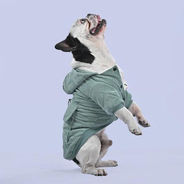 French Bulldog Dogzen™ French Bulldog Hoodie (wl011) Durable Dog Item