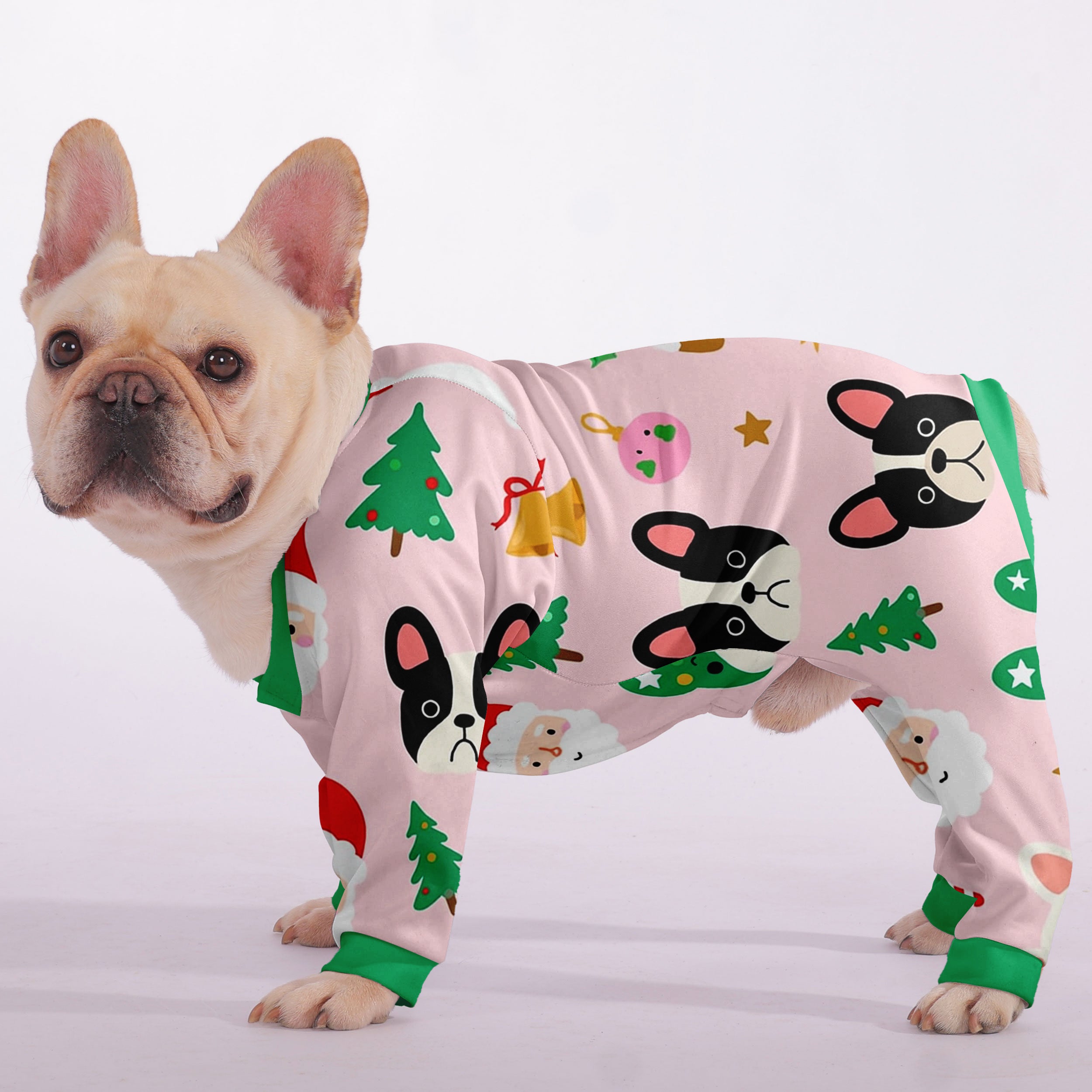 Breed-specific Rio - Warm Frenchie Pajama Outdoor Use | Safe For Paws