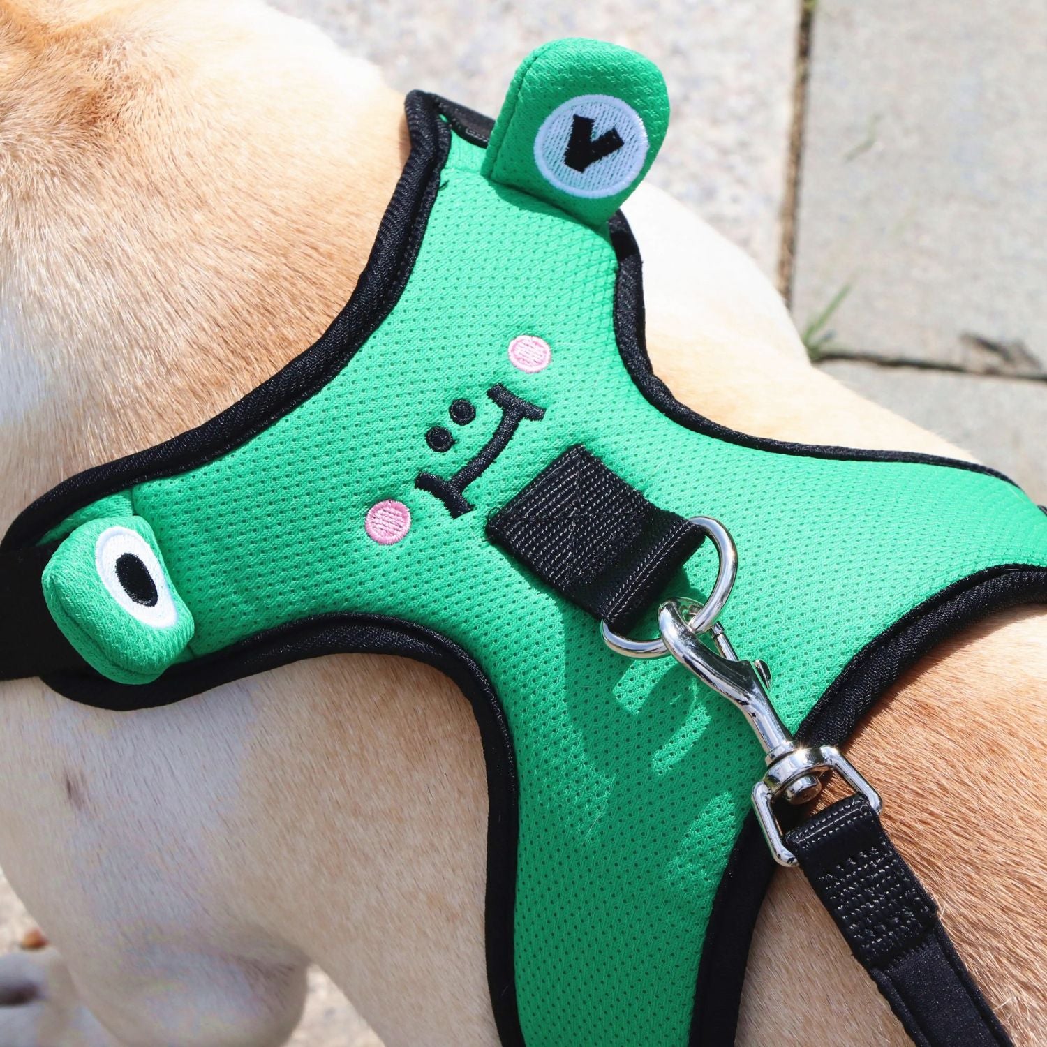 Vet-Approved Soft Mesh Frenchie Harness With Leash – Escape-proof Dur...
