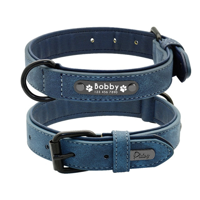 Personalised Collar with Leash