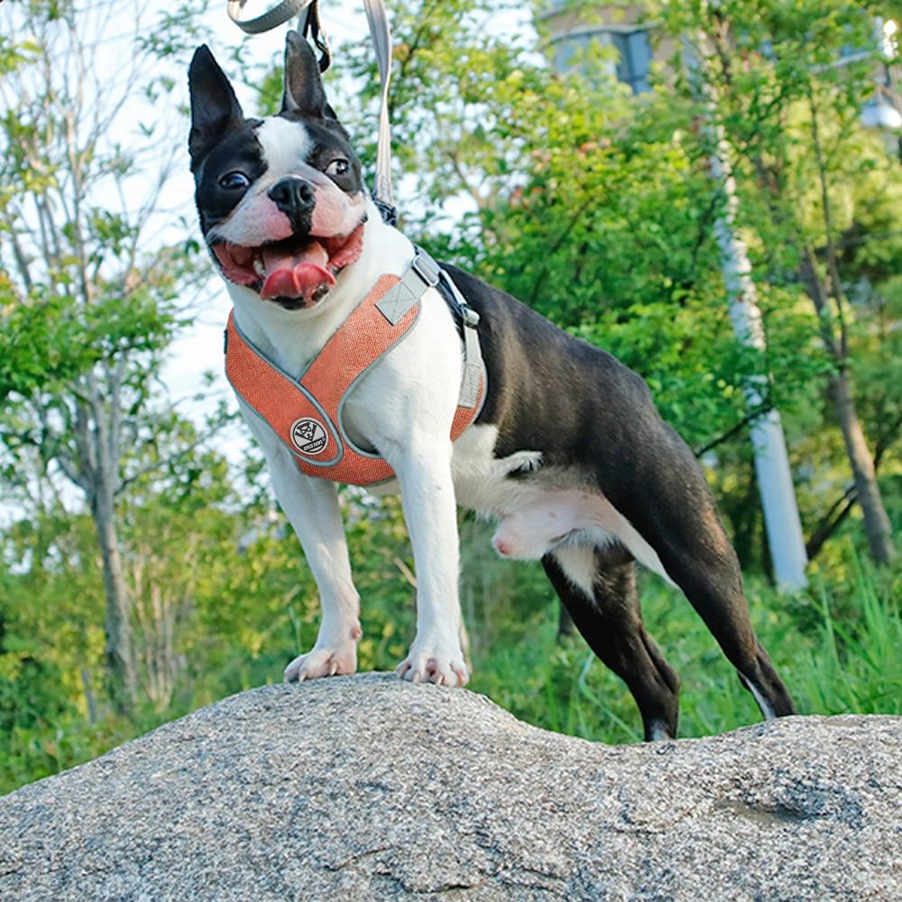 French Bulldog Reflective Harness (ws56) Practical Pet Supply