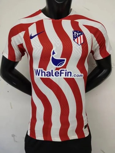 Authentic 2022 International Camiseta With Retro Design - European