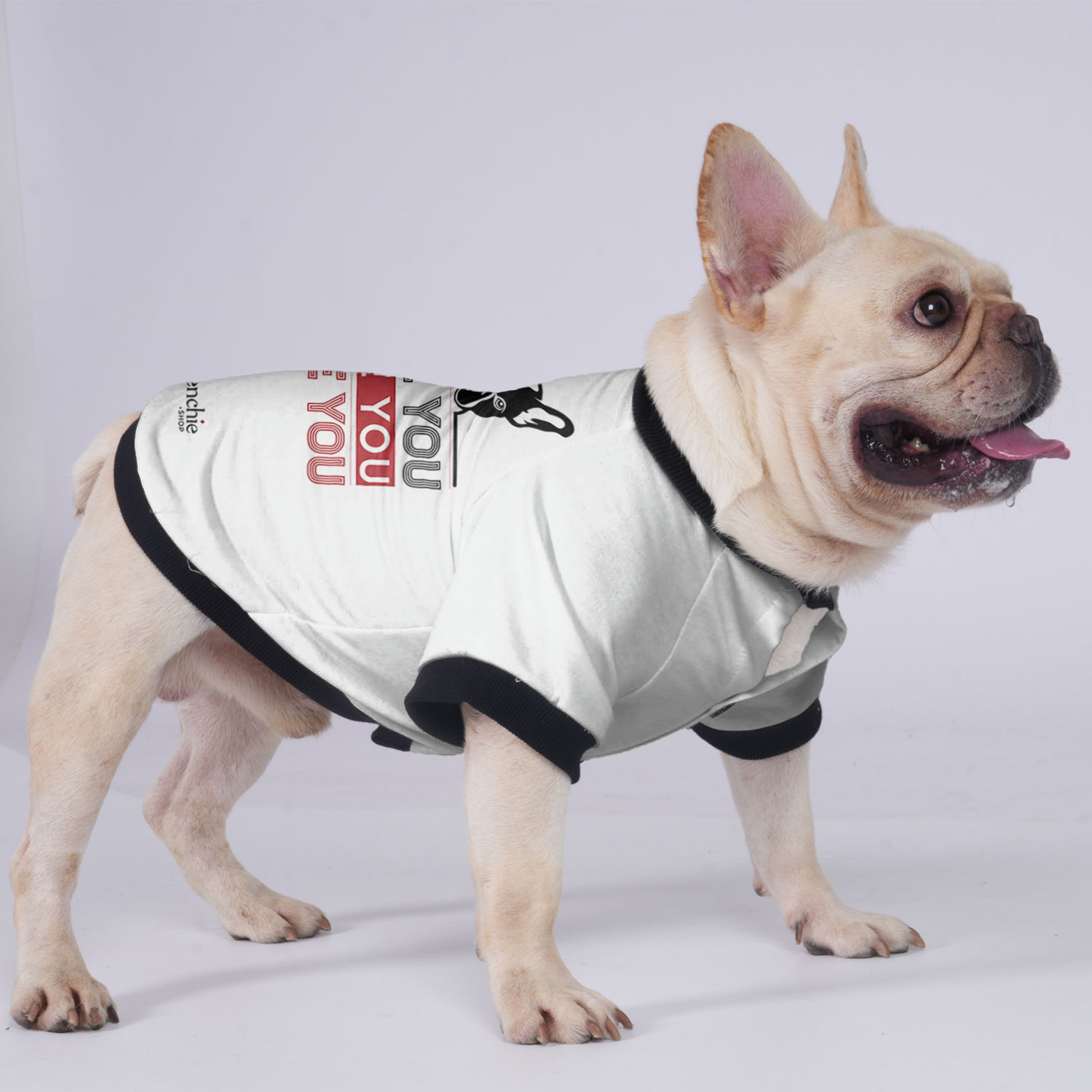 Luna - Warm Jacket For French Bulldog For Frenchie Pups | Safe For Paws