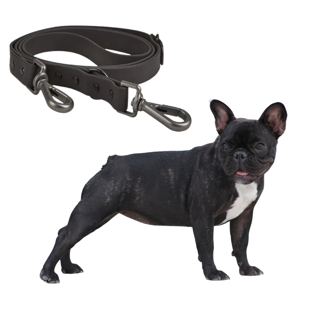 Puppy-Safe Durable Frenchie Quick Release Harness Leash Set for Playtime