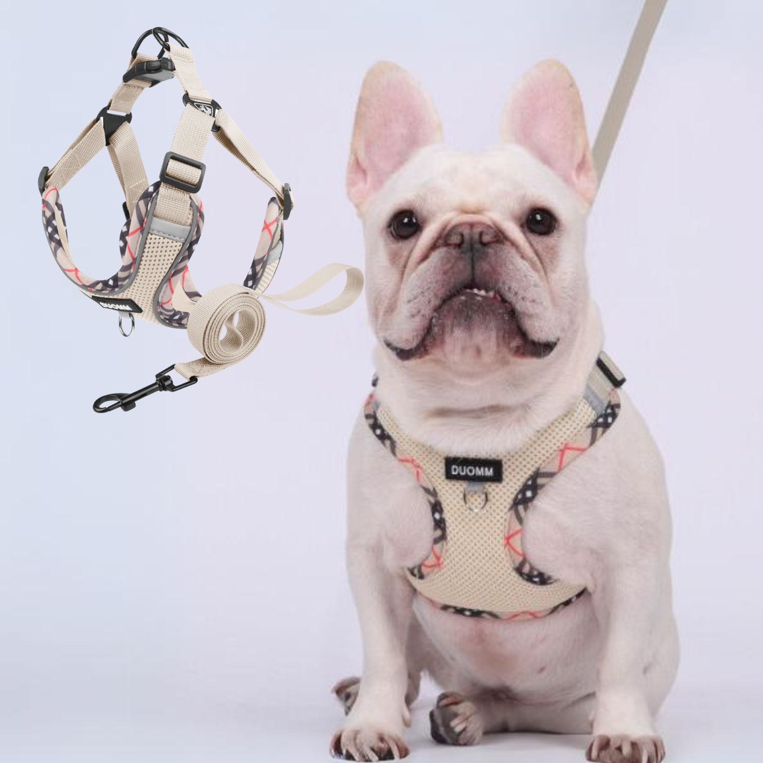 French Bulldog Stridez Heavy Duty No Pull Frenchie Explosion Proof