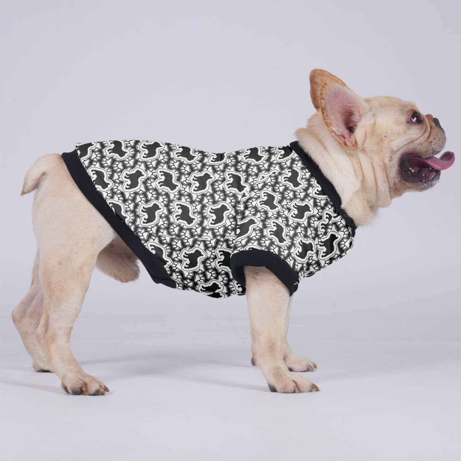 Ace - Warm Jacket For French Bulldog For Frenchie Pups | Breed-optimized