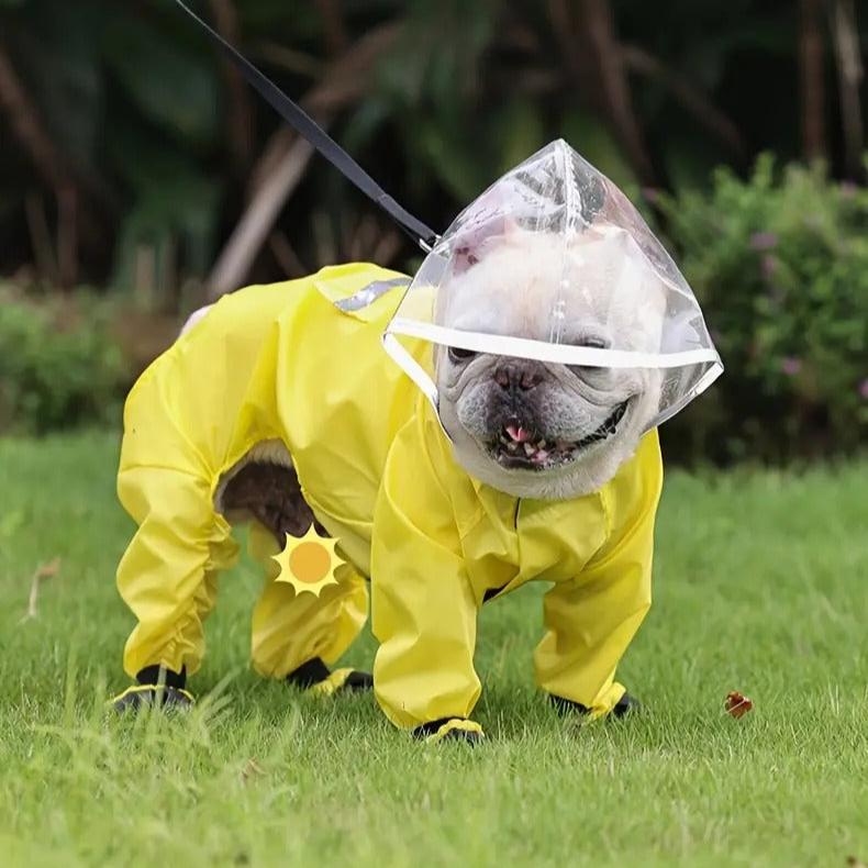 AquaTail Frenchie Raincoat with Integrated Booties and Hood