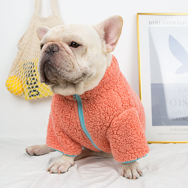 Minimal-Aesthetic Trendy Winter Cloth For French Bulldog (wj12) for F...
