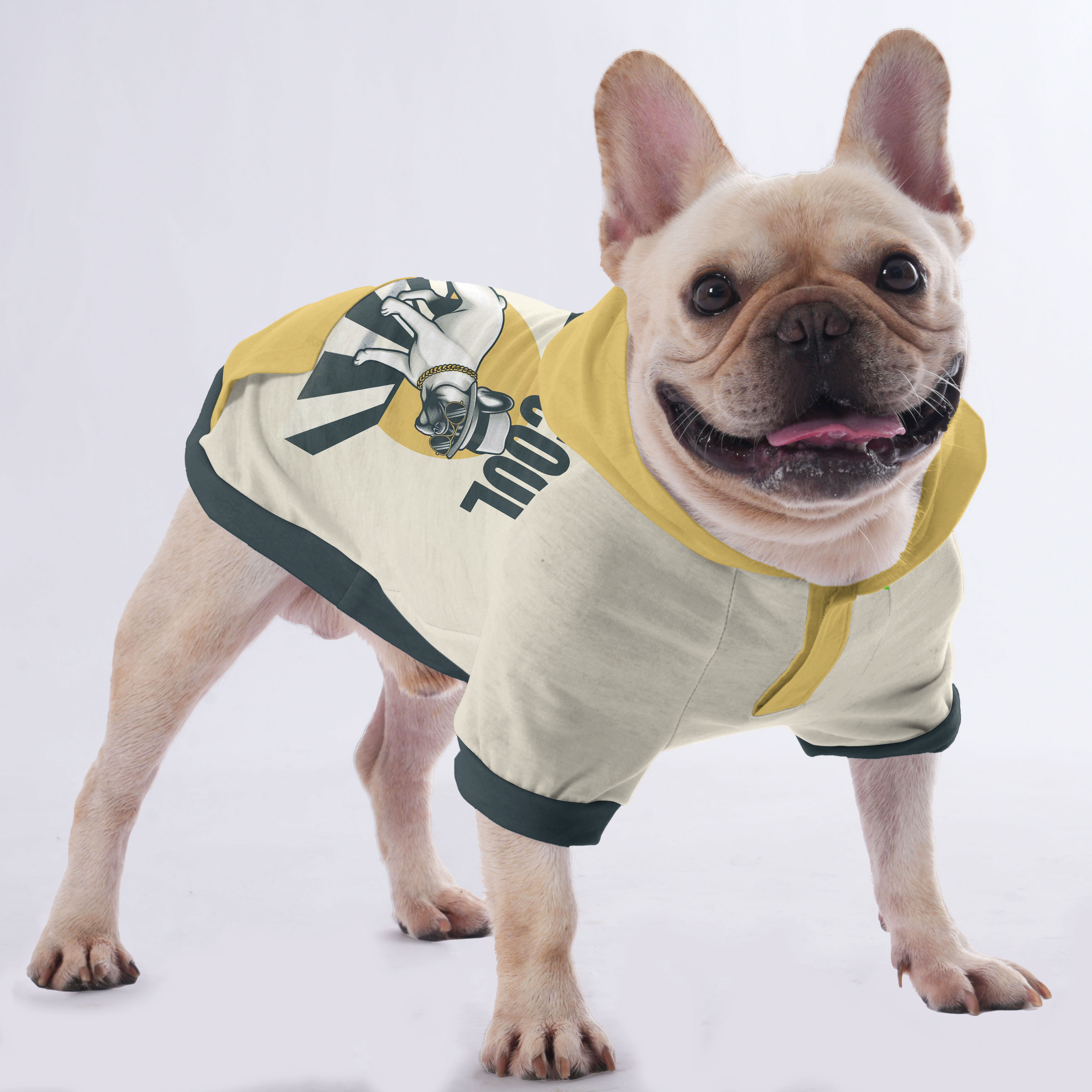 Shelby - Hoodies for French Bulldog | Frenchie Shop Original