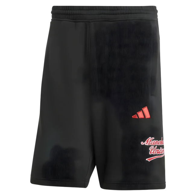 2025-20 Man Utd top quality Third Shirt - Adults | official