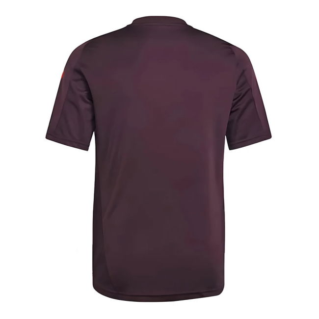 2025-2026 BAY Training - performance shirt for Bayern Munich v1.589
