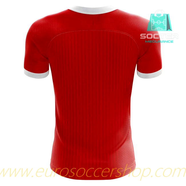 2025-26 Collection Hero Shirts Home Jersey (Personalized Edition)
