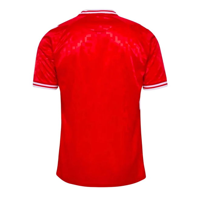 Denmark official style Home Shirt 2024-2025 (Adult