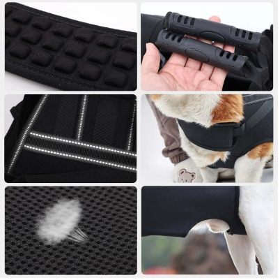 French Bulldog Multifunctional French Bulldog Backpack – Comfortable