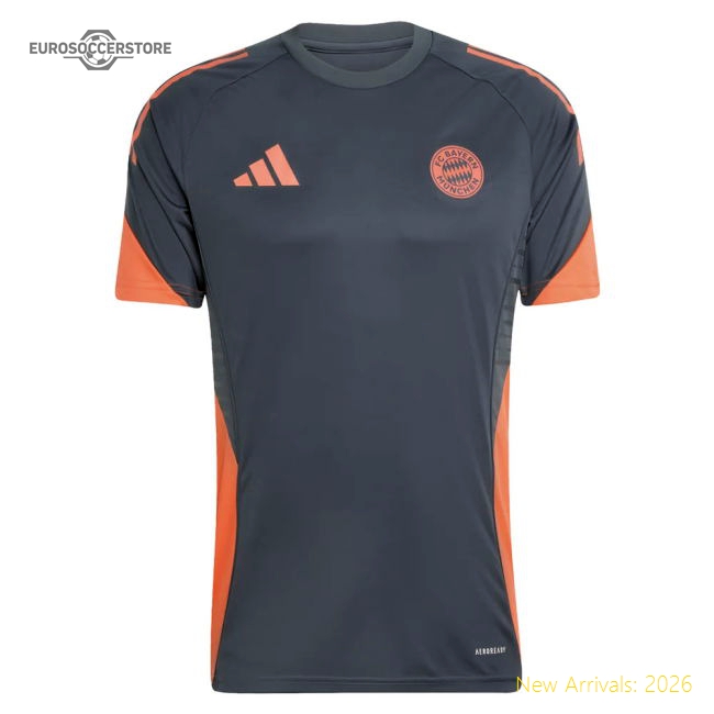 2025-2026 Bayern Munich Training Shirt (bold Onix) - Concept Creation