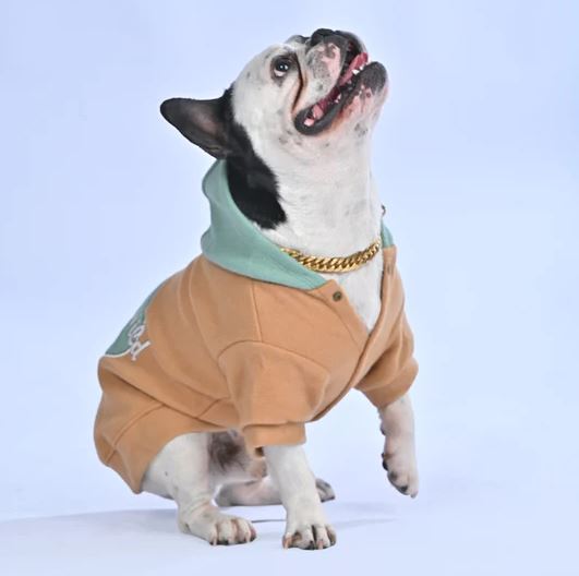 Wintersy™ - Everyday French Bulldog Soft Hoodie (wl03) Pet Owner Apparel