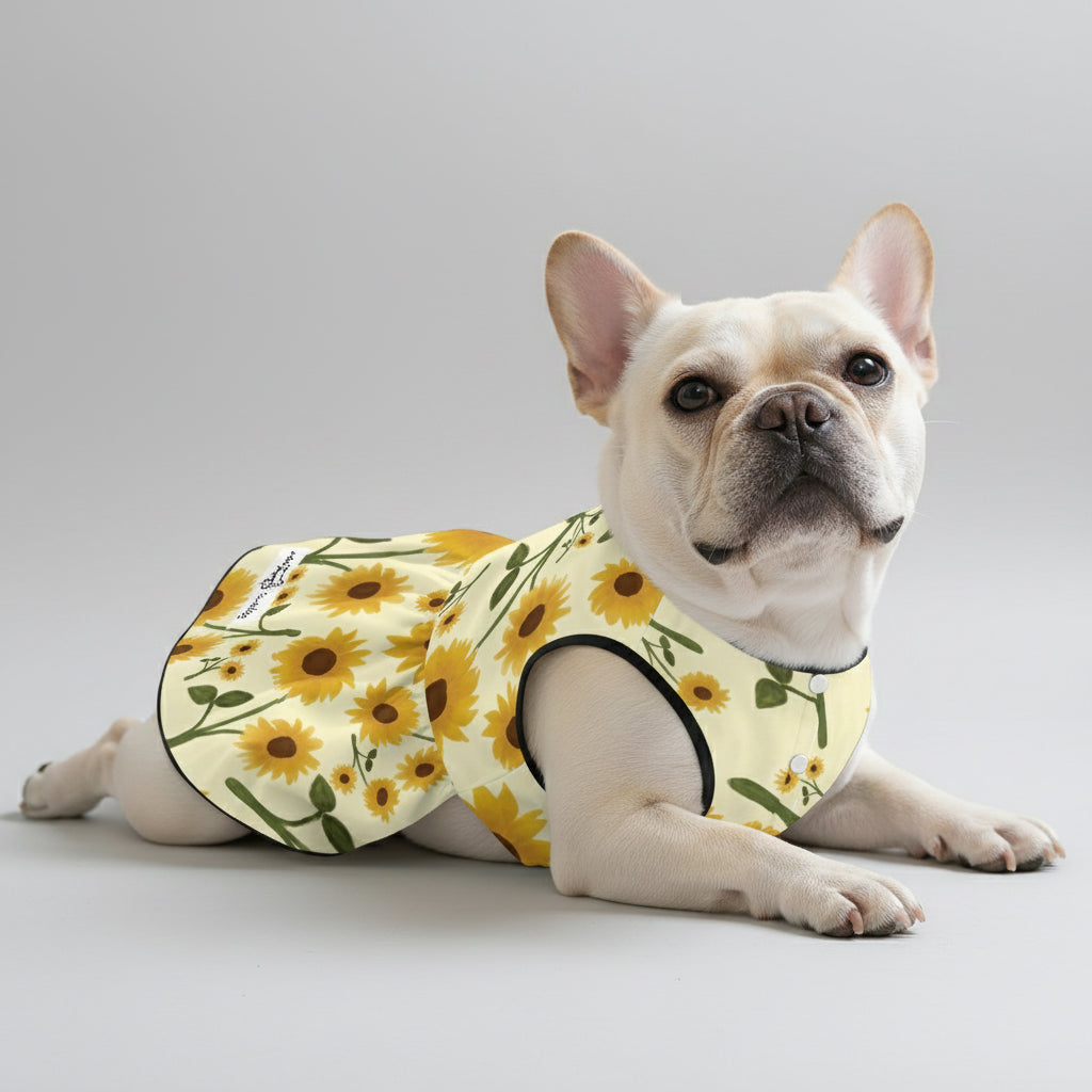 French Bulldog Aurora French Bulldog Dresses For Females Durable Dog Item