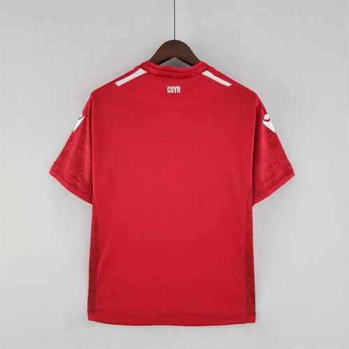 Authentic 2022-2023 Local - International Supporter - Game Day Outfit