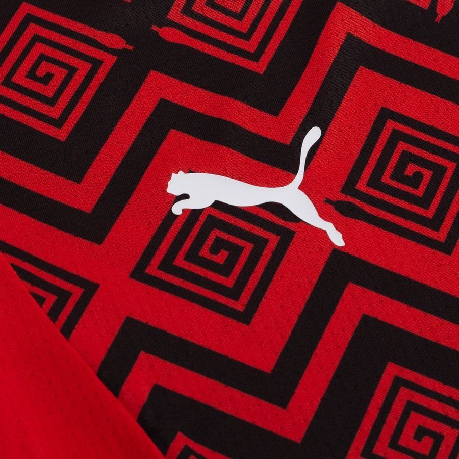 Egypt Training T Shirt Pre Match Africa Cup Of Nations 2025 Puma Red/p