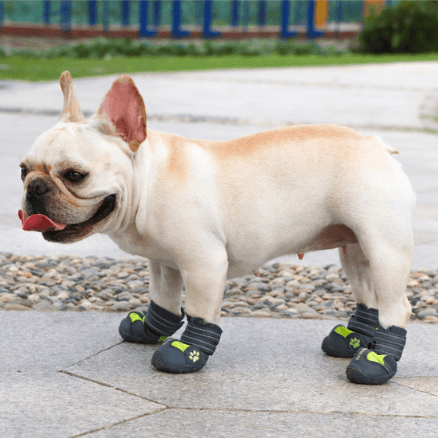 PupLuxe Frenchie Booties with Reflective Straps