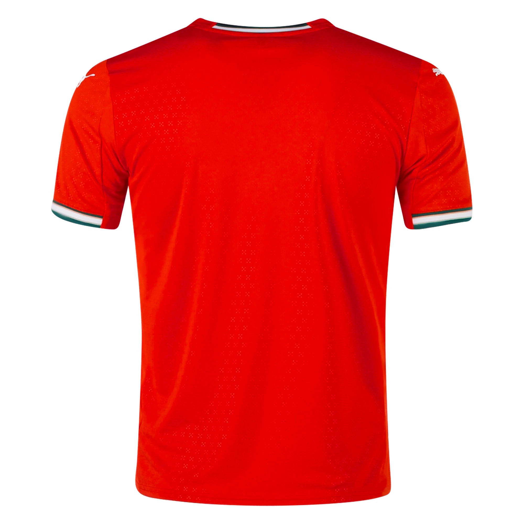 Portugal National Team 2025-2026 Season Home Jersey –  Match Day Version S