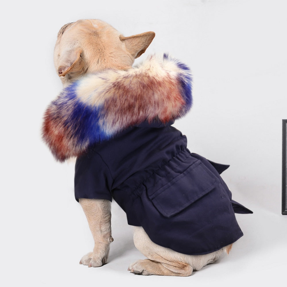 PawMax Coat V2 - French Bulldog Coat (WS46)