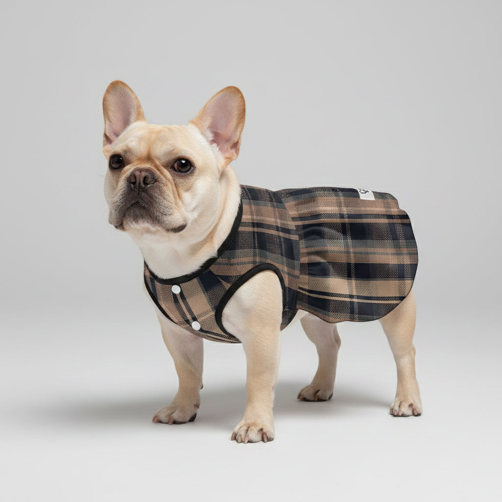 Culture-Inspired Ava - French Bulldog Dresses For Females as a Gift