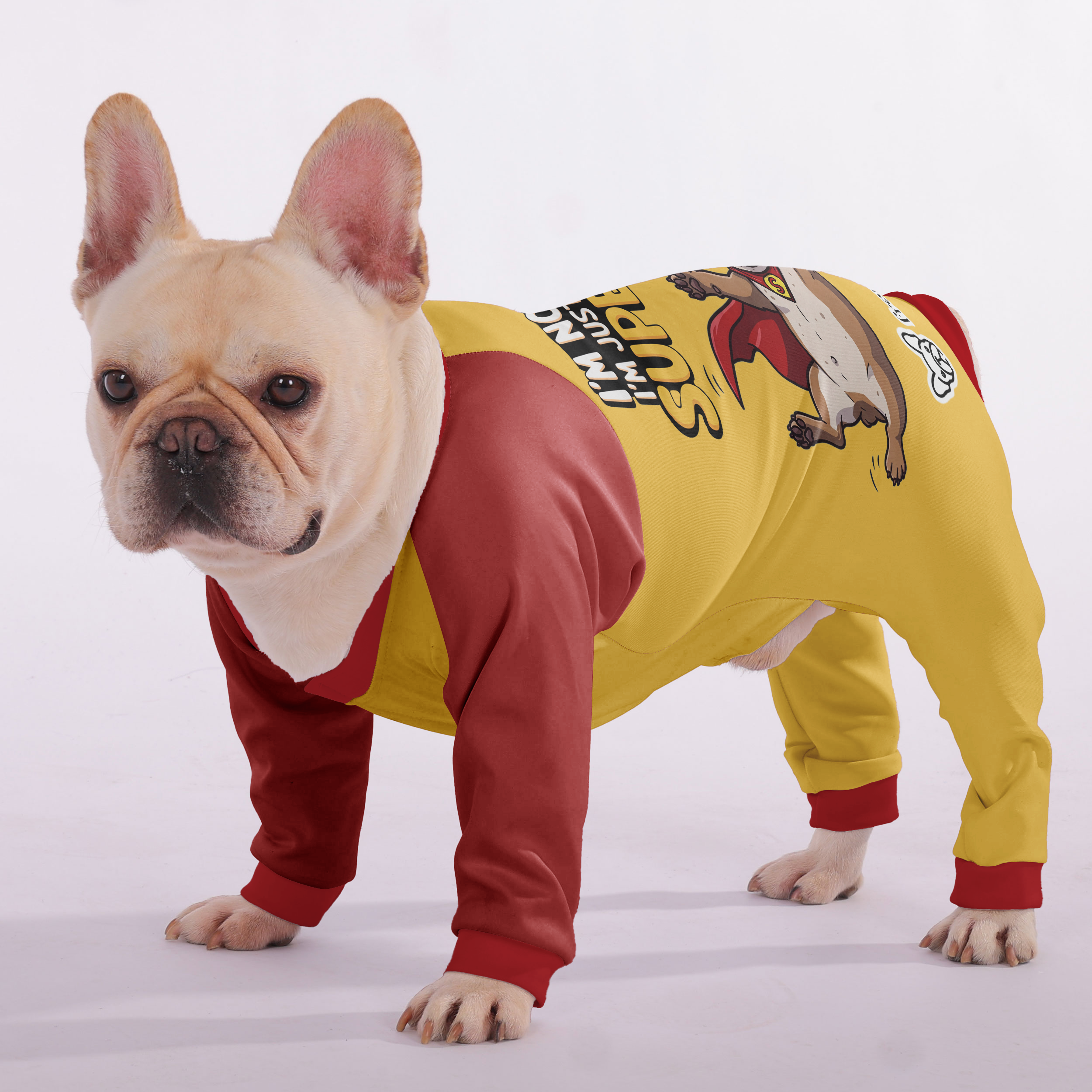 French Bulldog Im Not Sleeping, Im Just Practicing My Super Hero