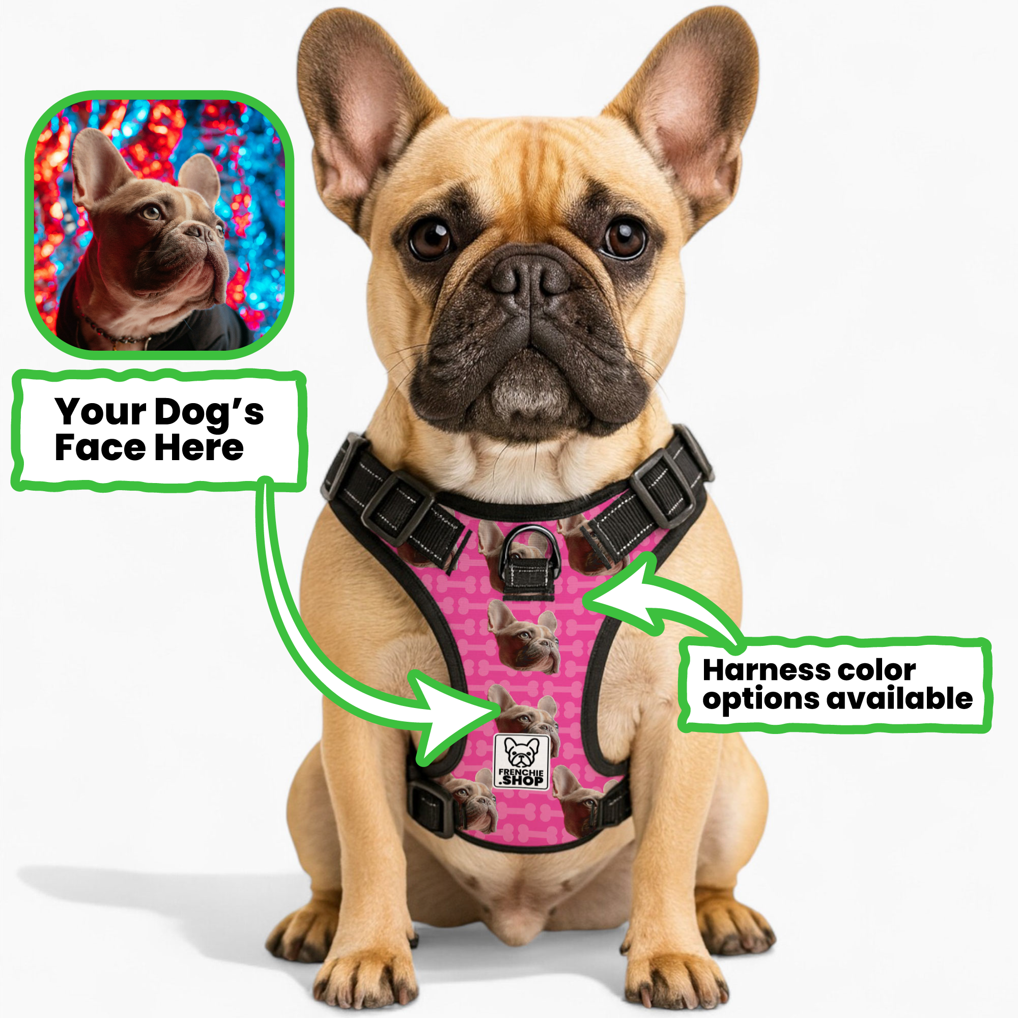 Vet-Approved Quincy - Personalized No-pull French Bulldog Dog Harness...