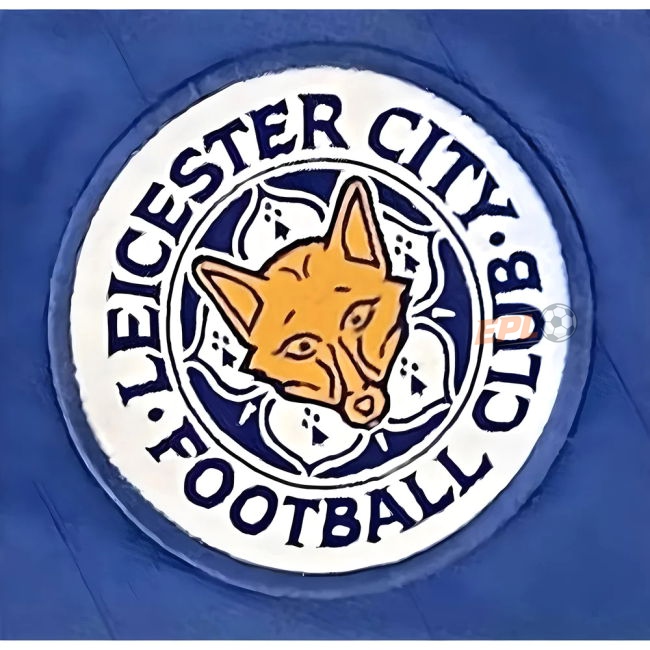CHA excellent 2002 Home Kit - Adults | first-class