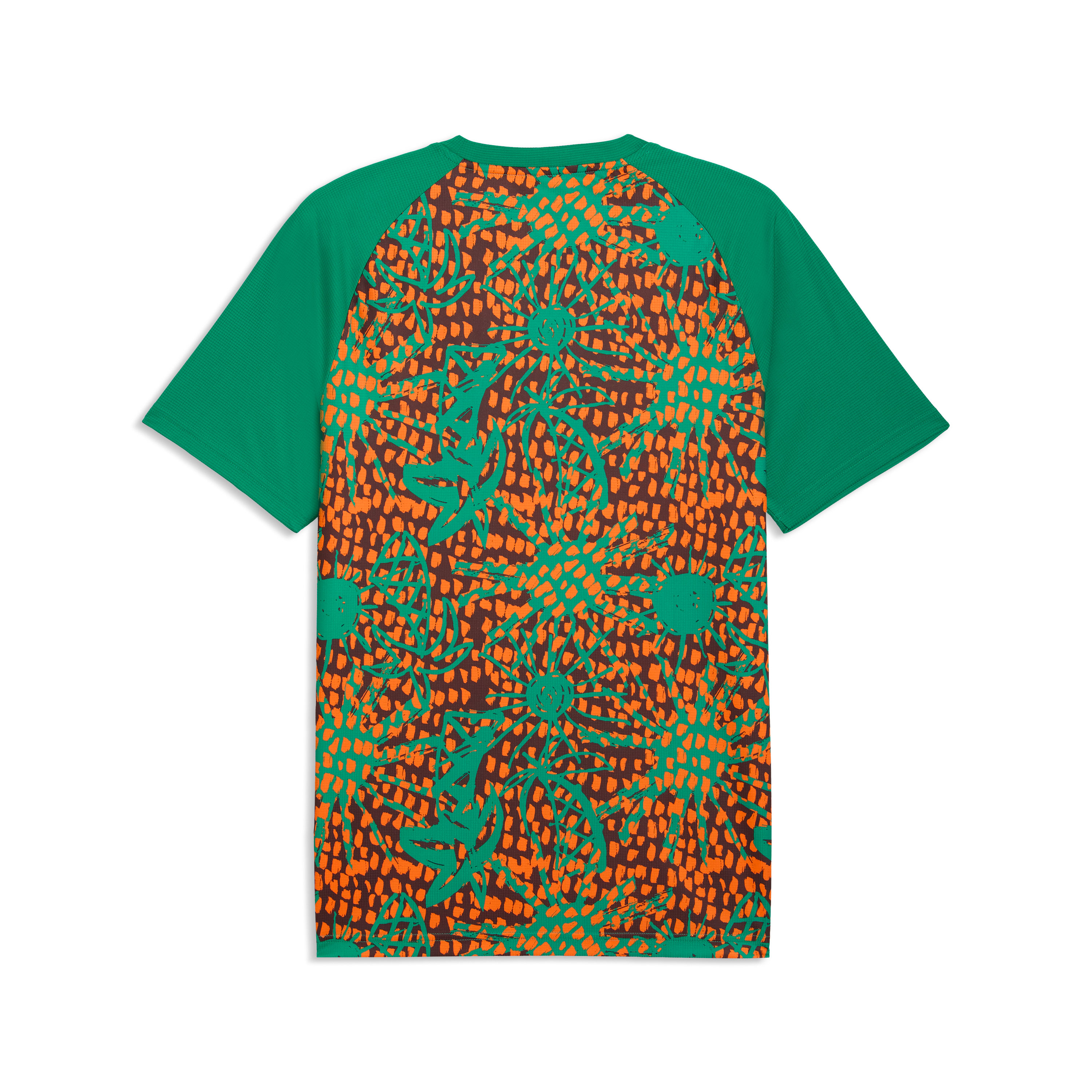 [SJH] Ivory Coast National Team 2026 Pre-Match Jersey Top - Green