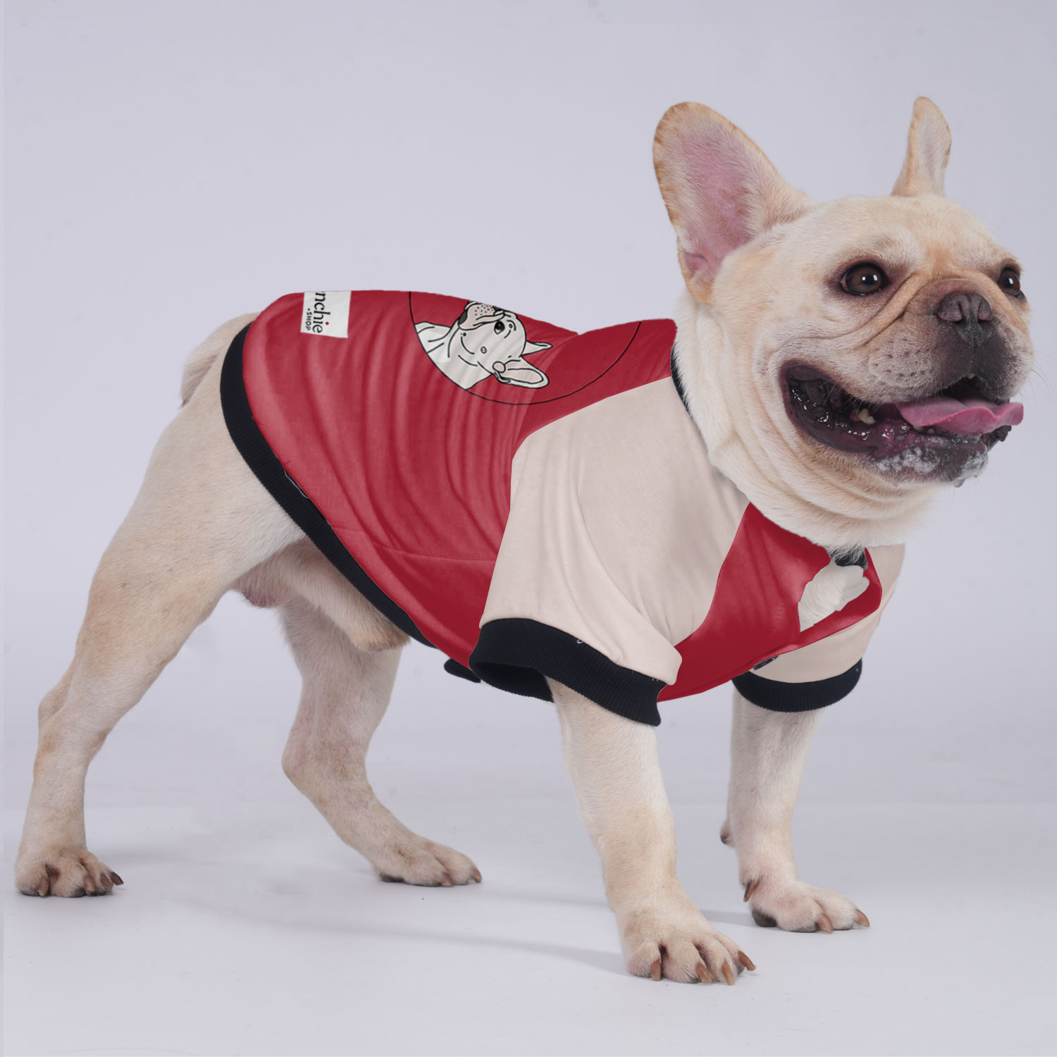 French Bulldog Sophie Jacket For French Bulldog Soft Frenchie Apparel