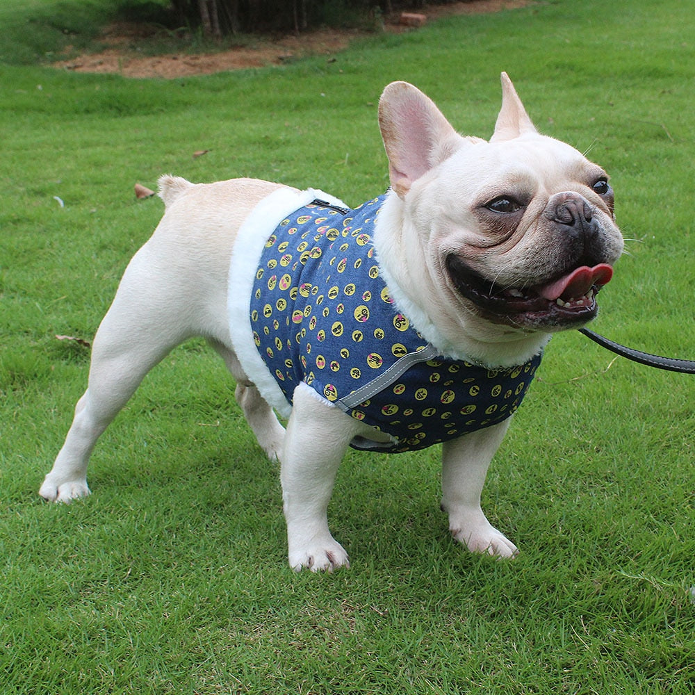 Reflective - Bulldog Harness For Winter (ws304) Winter Wear