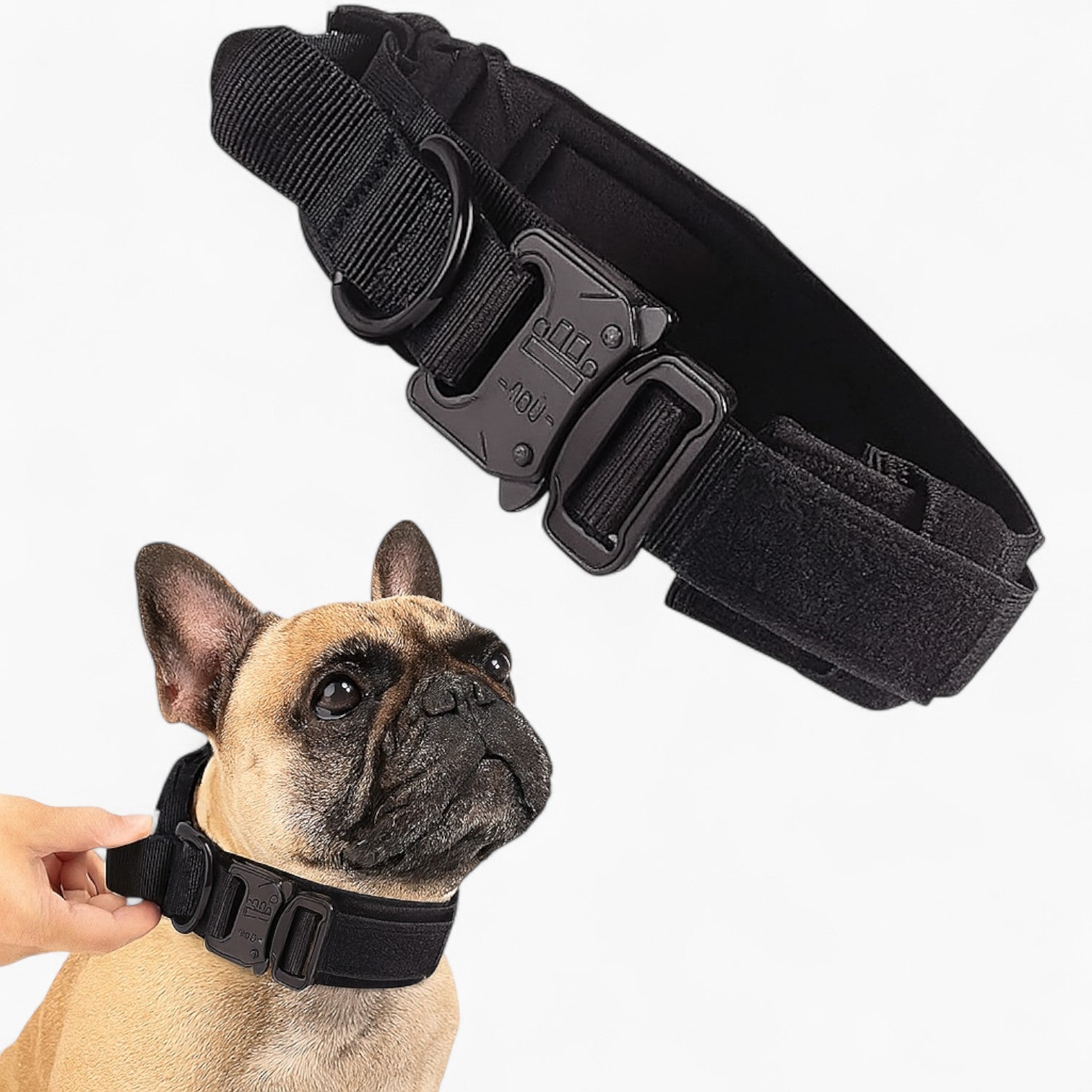 French Bulldog Tactipup Frenchie Tactical Collar – Durable Adjustable